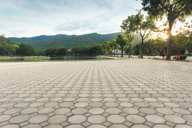 Best Residential Paver Driveway  in Vineyard, CA